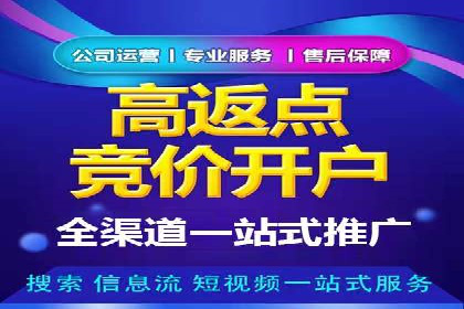 竞价推广策略：某电商平台的成功案例